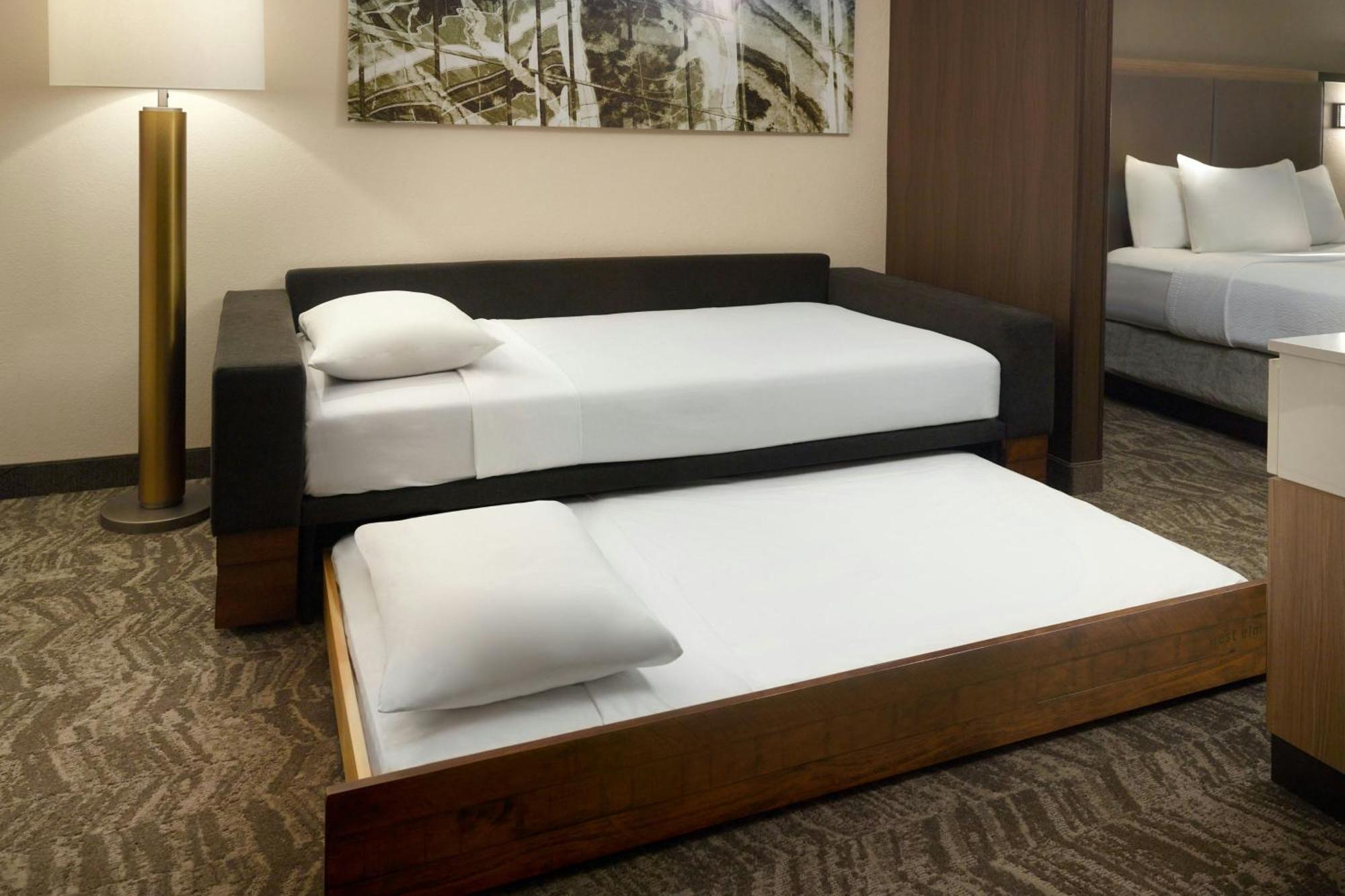 לית'יה ספרינגס Springhill Suites By Marriott Atlanta Six Flags מראה חיצוני תמונה